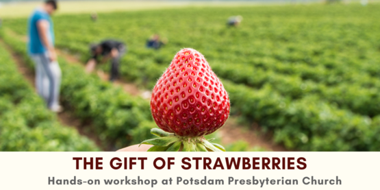 strawberry class banner