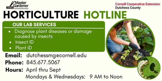 Horticulture hotline
