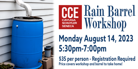 Rain Barrel Workshop