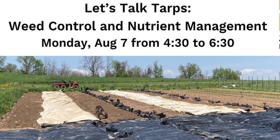 Flyer for using tarps to suppress weeds