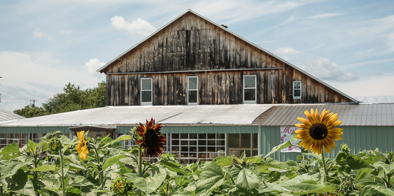 farm store