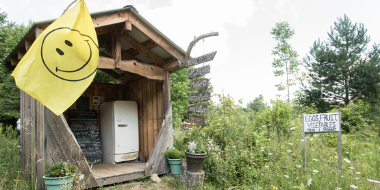 farm stand