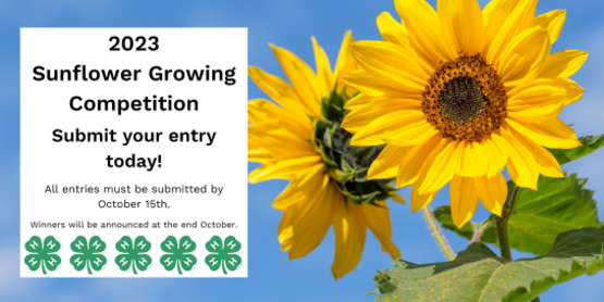 2023 Sunflower Growing Competition
Submit your entry today!
All entries must be submitted by October 15th.
Winners will be announced at the end of October.