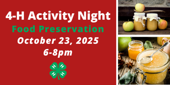 4-H Activity Night