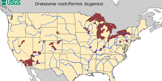 Quagga Mussel Map