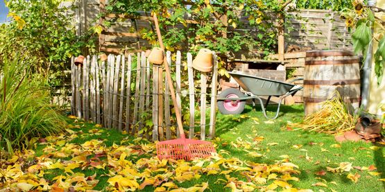 Fall Garden