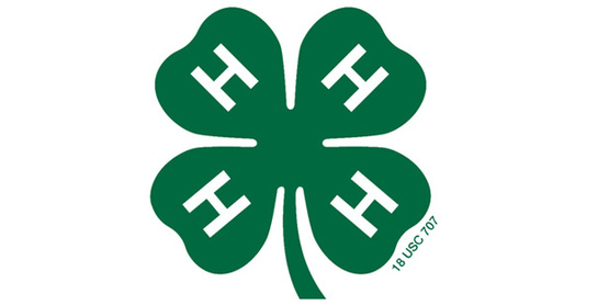 Official 4-H clover icon, sized smaller in relation to the field.