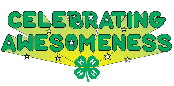 4-h achievement day