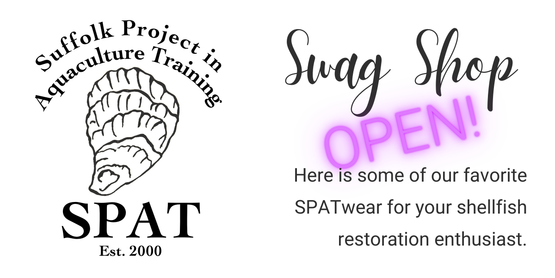 spat swag shop open