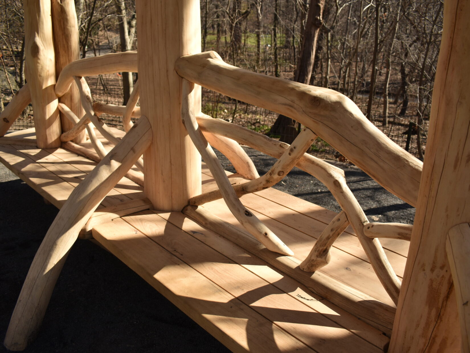 Log Shelter 20240312 Chinea 0139