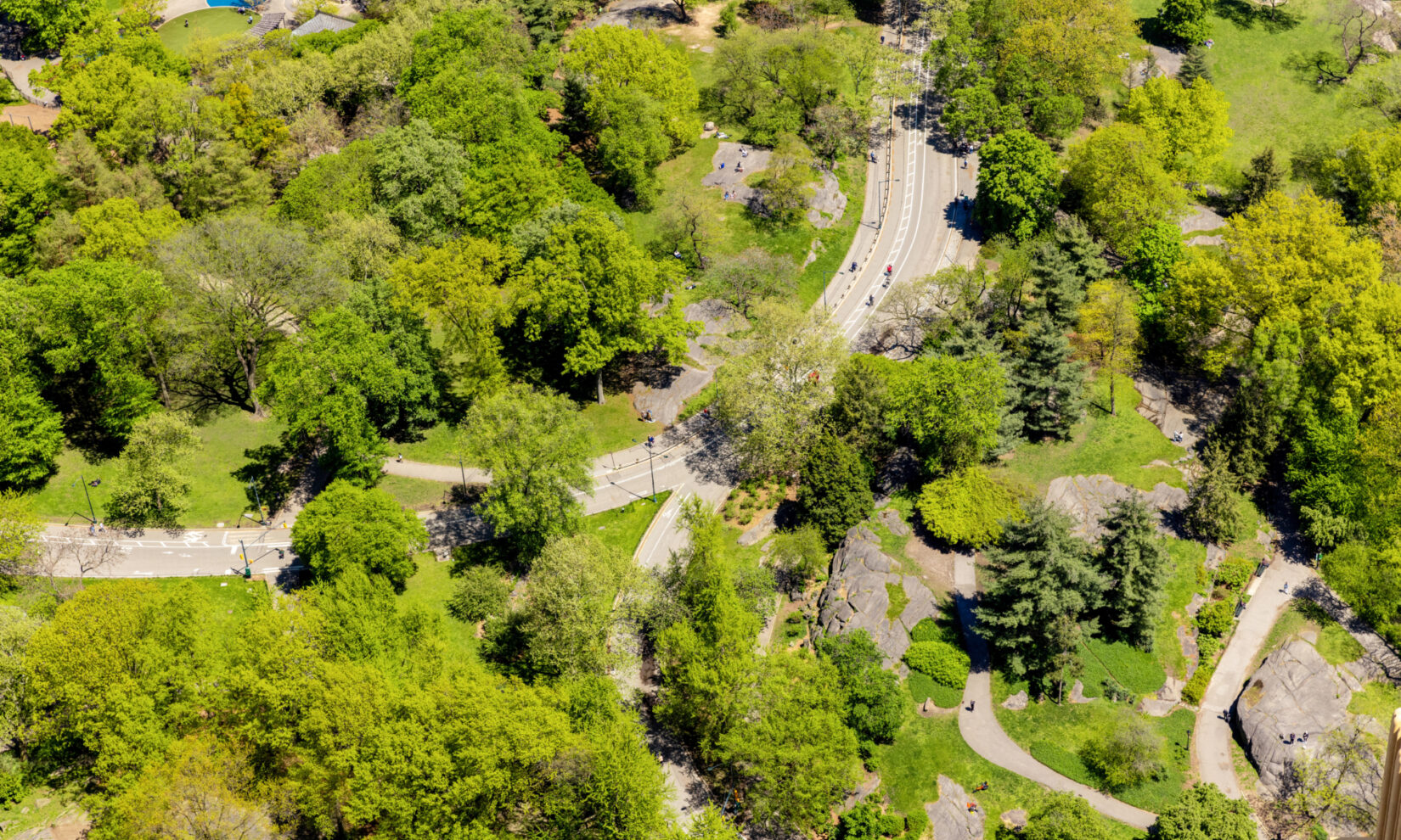 Aerial shot of Central Park and its Drives, surrounding by green trees.