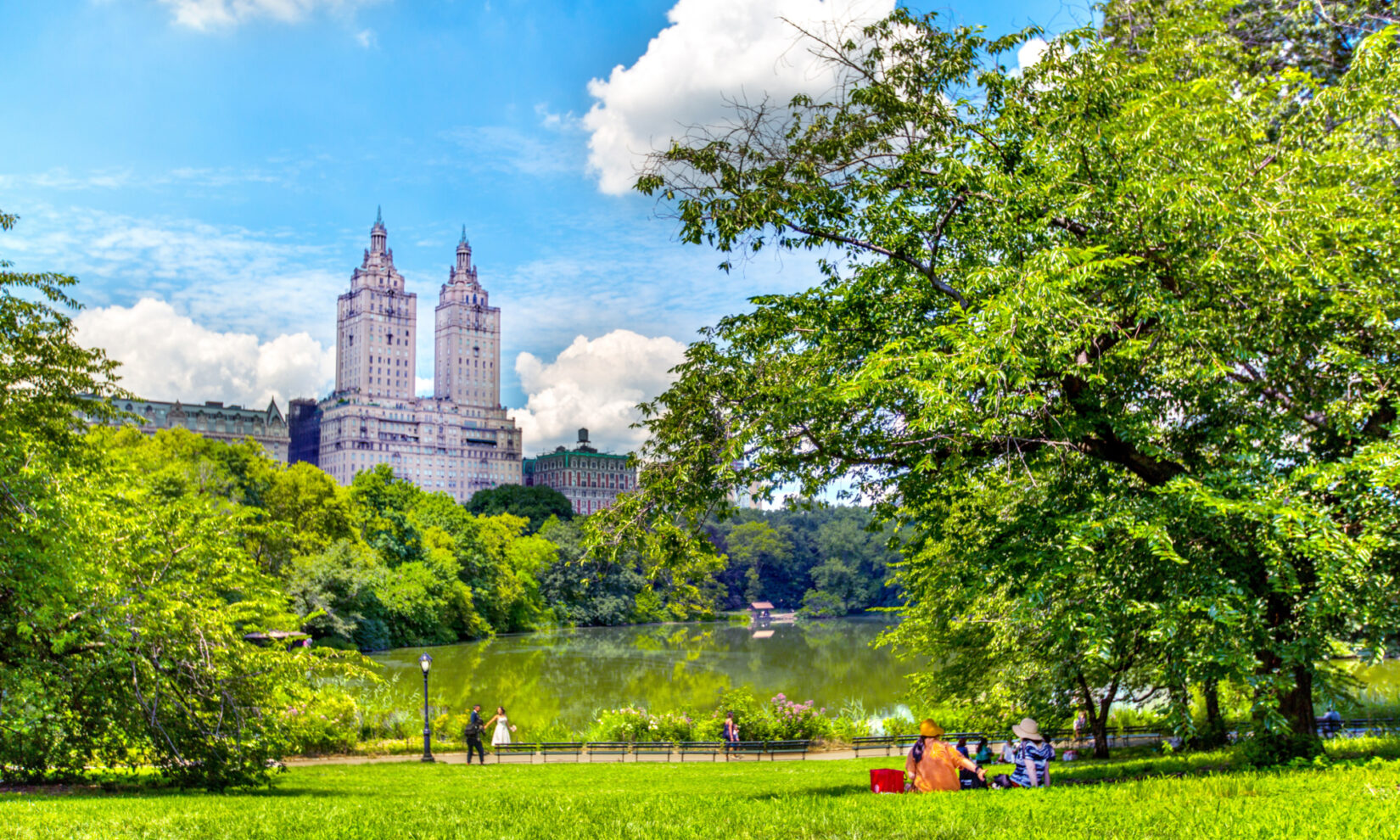 Cherry Hill 20200801 IMG 5941 RT