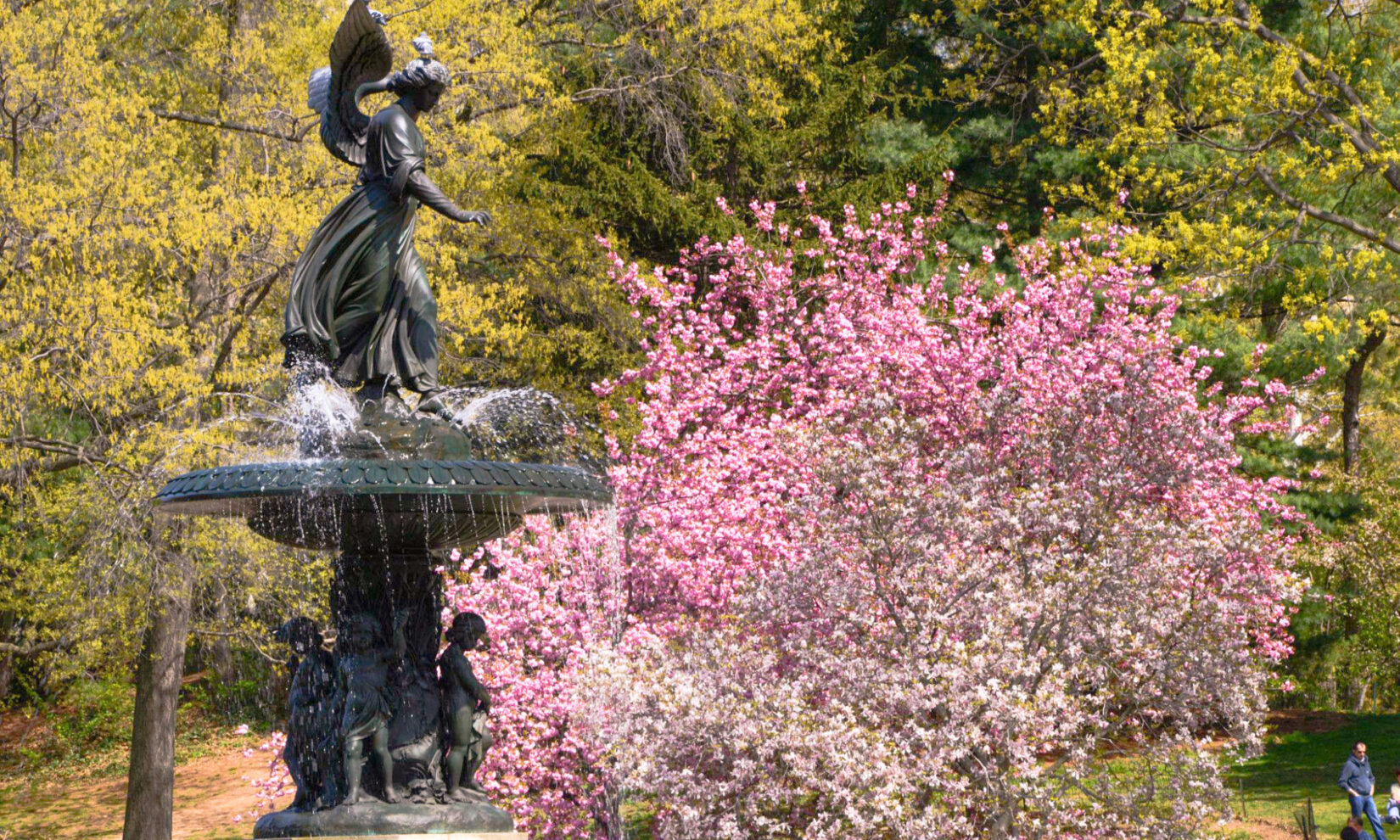 Bethesda Fountain (Angel of the Waters) at Bethesda Terrace, with pink flowers and green trees in the background