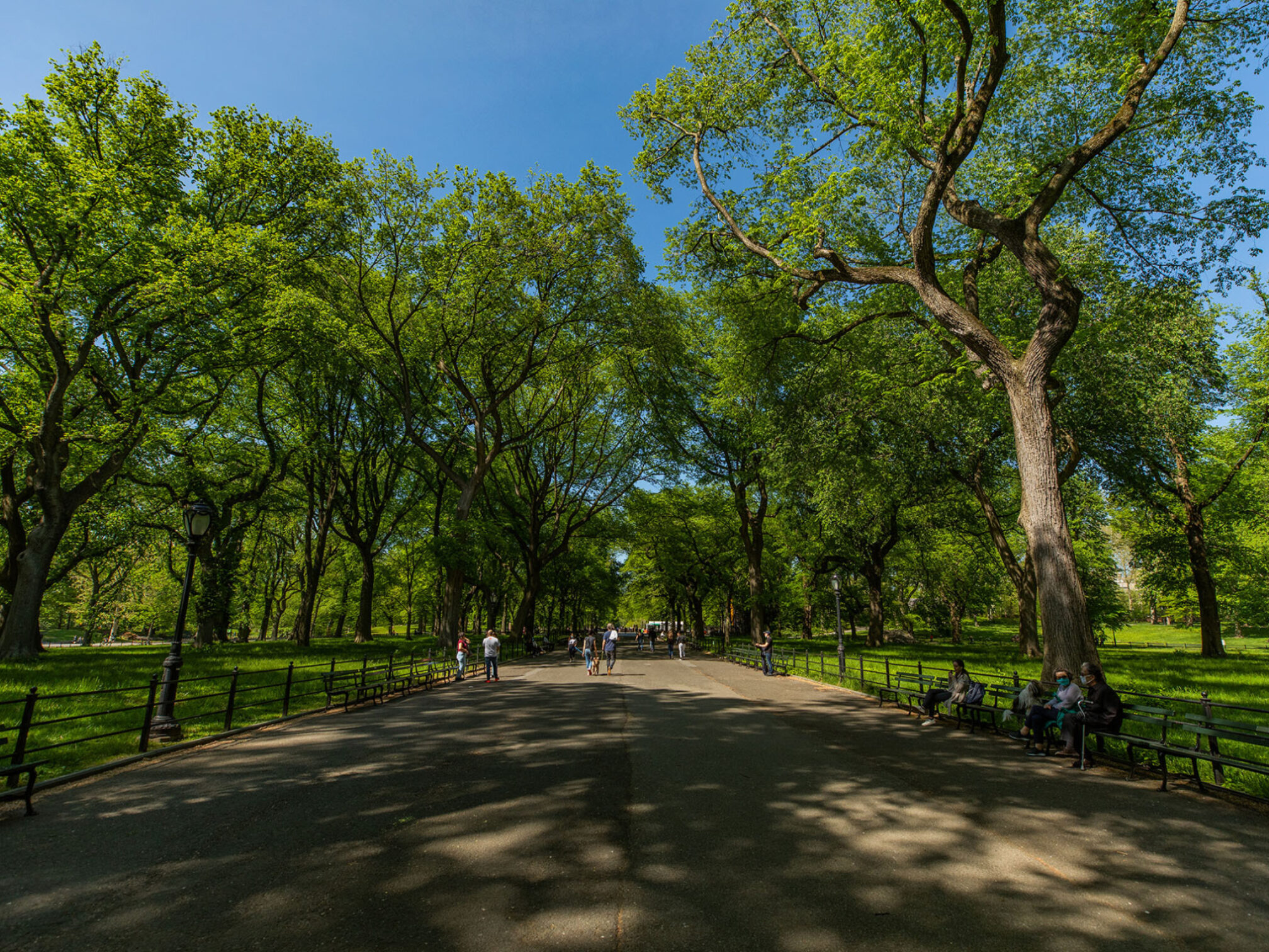 The Woman Suffrage Monument in Context Central Park Conservancy