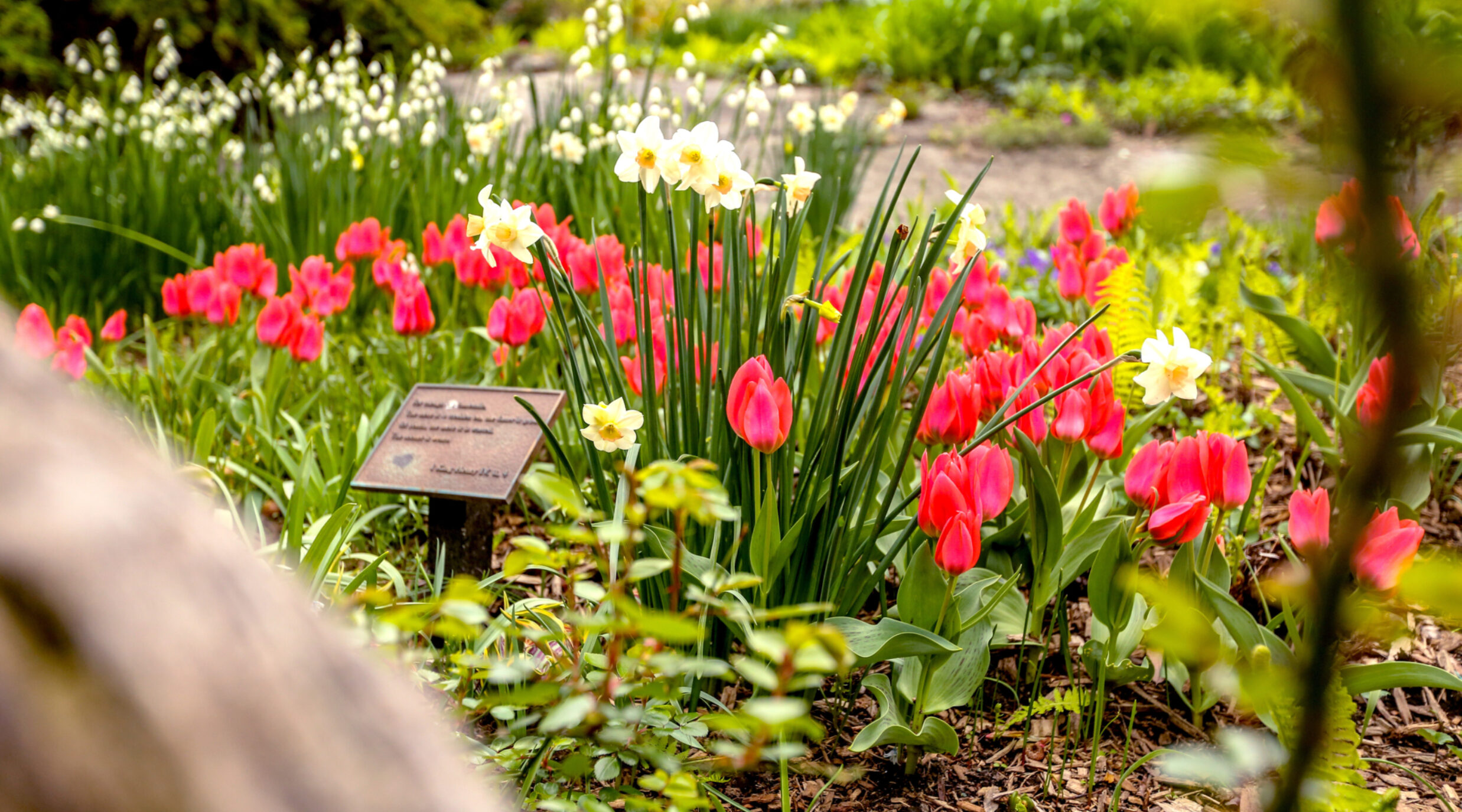 Seasons in Flux How the New Climate… Central Park Conservancy