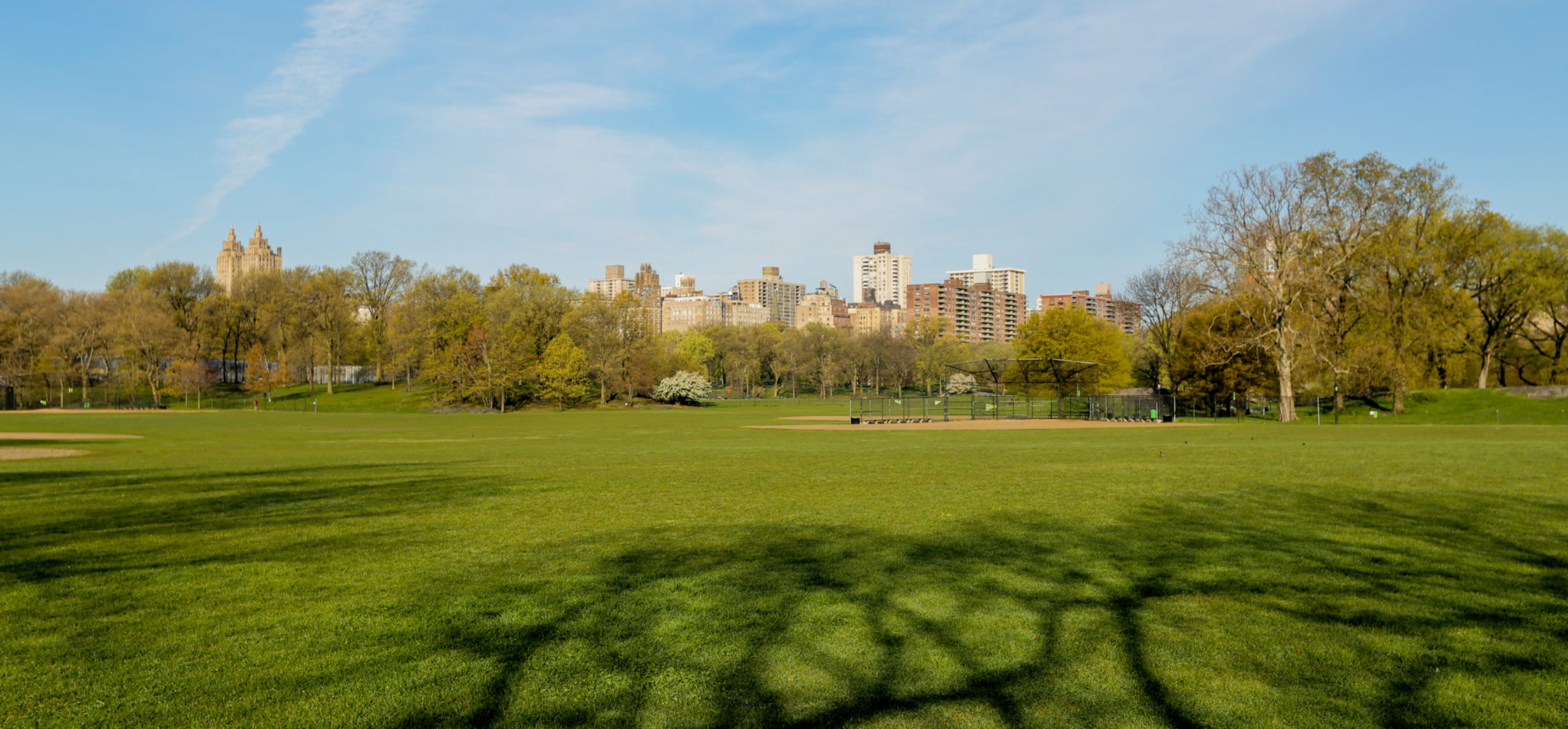a plain, green, open play space in the central park