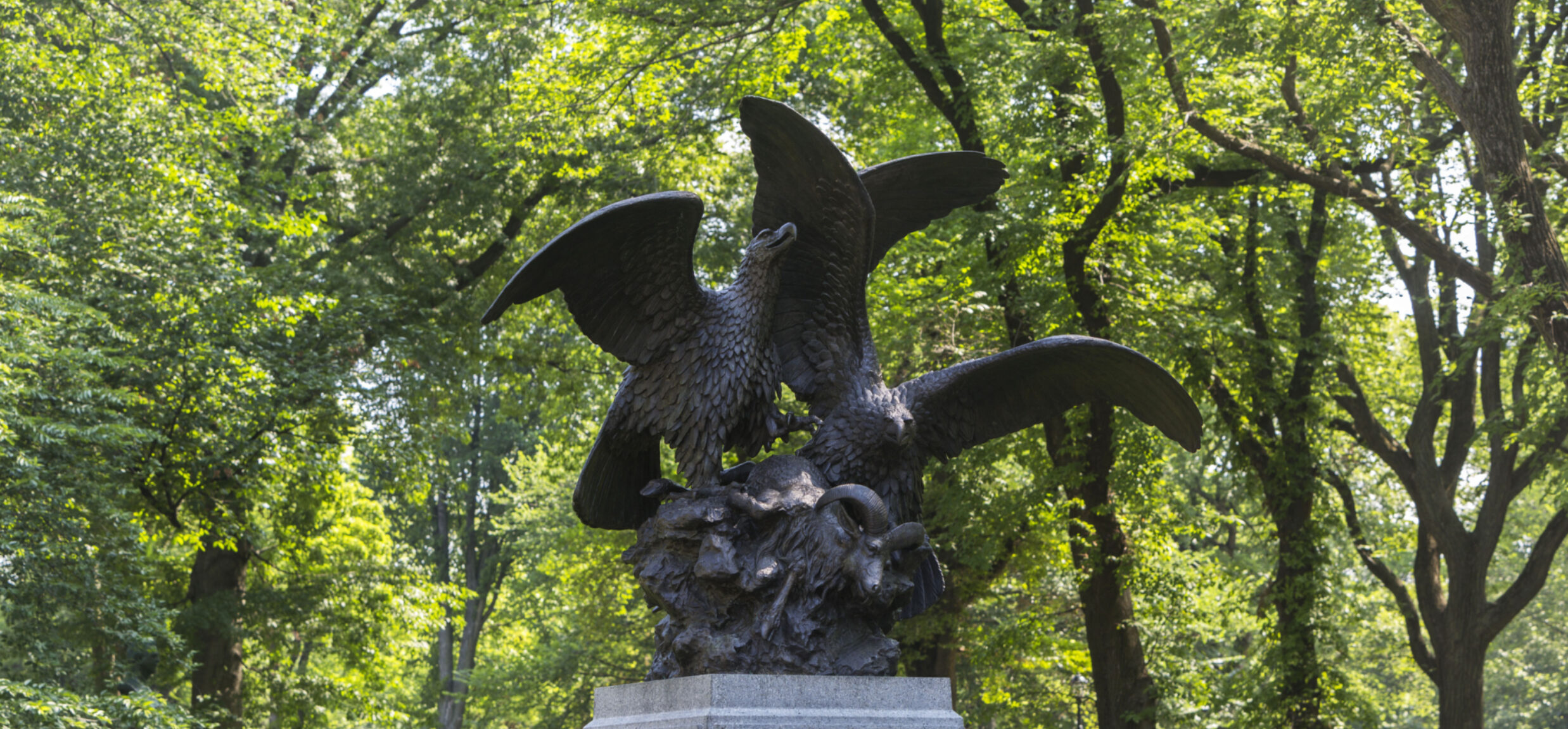 Eagles and Prey Central Park Conservancy