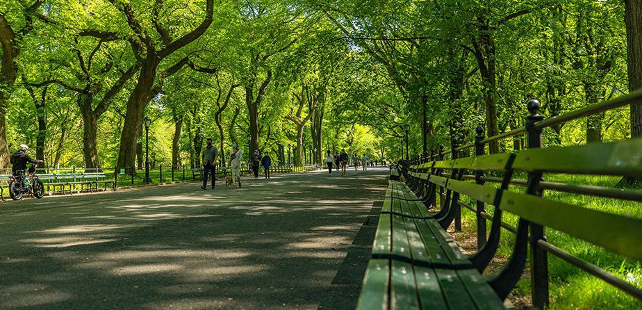 Get Your Virtual Guide to Summer in Central Park