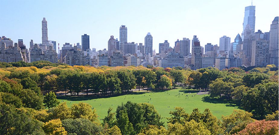 Ff Rect Shrt@2X Sheep Meadow Aerial