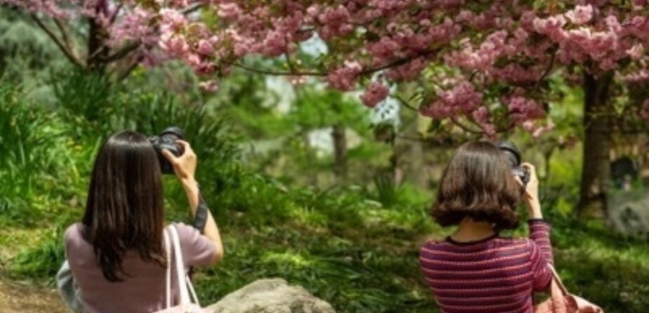 Birders birdwatching in the Park