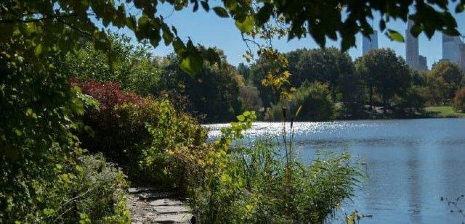 The Lake