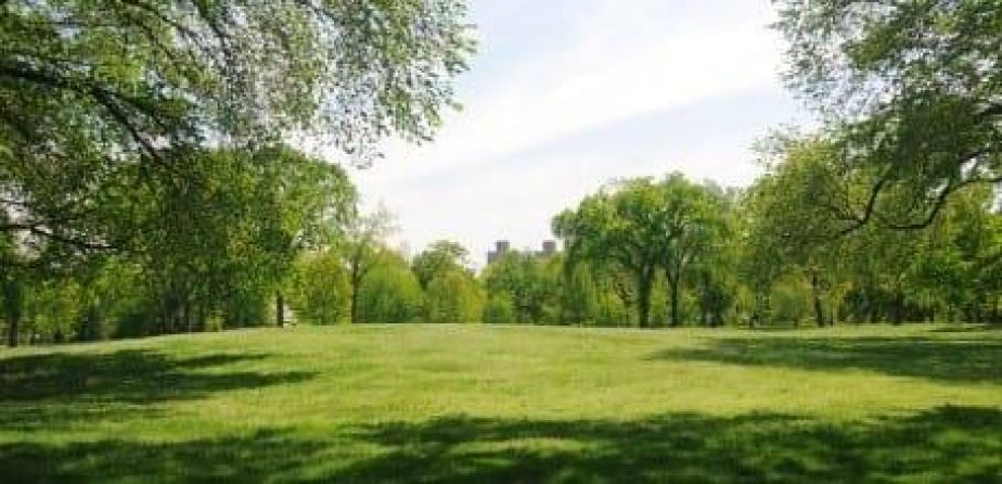 A view of the Great Hill in summer