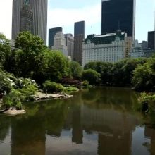 #myCentralPark: Story from Harry