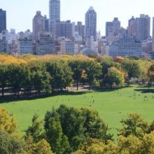An aerial view of the Sheep Meadow
