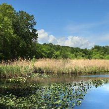 Van Cortlandt Park