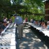 Chess Lecture and Simul Series