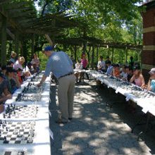 Chess Simul Series