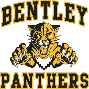 logo icon