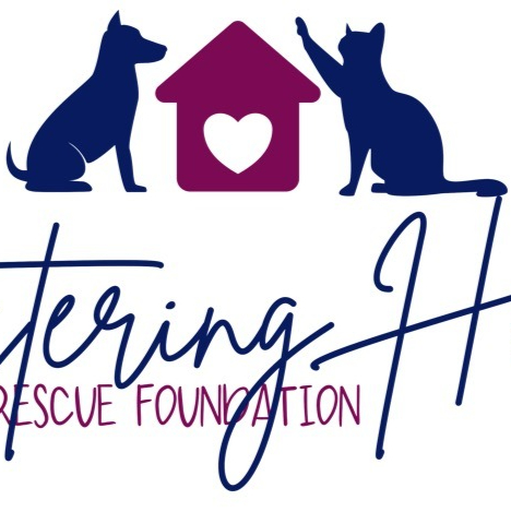 logo icon