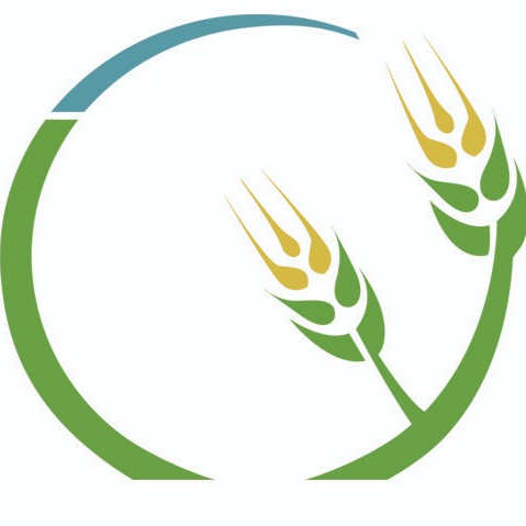 logo icon