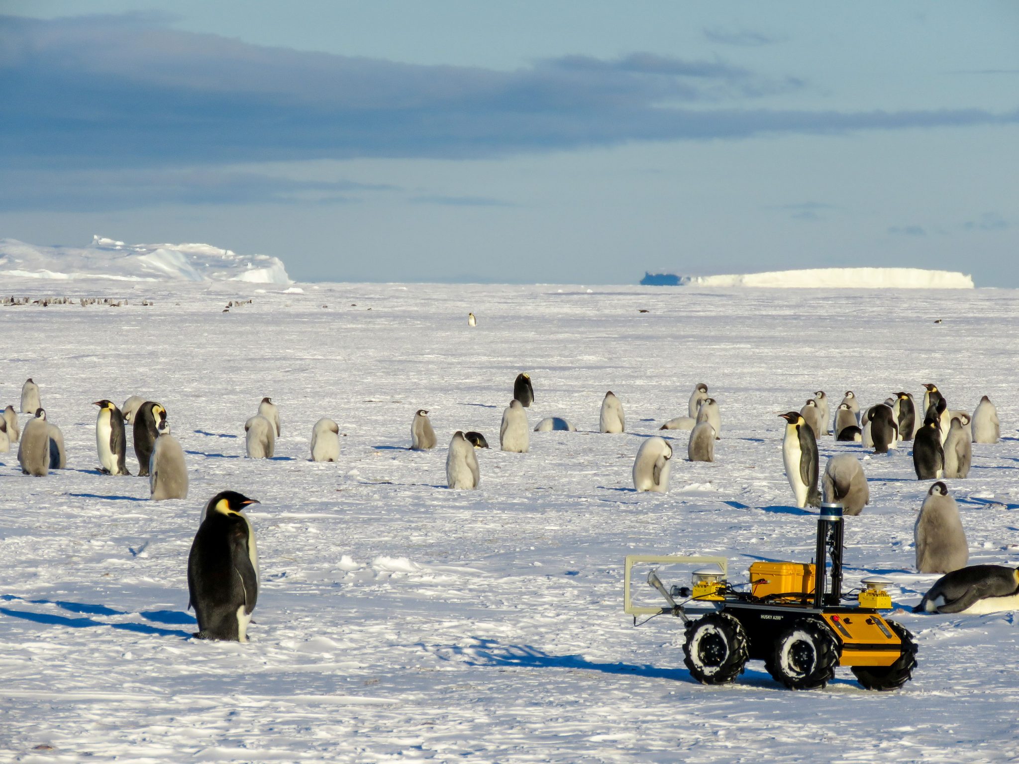 Research Team Advances Penguin Conservation Research with Robotics in ...