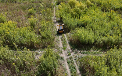 Beyond the Parking Lot: Outdoor Testing for Real-World Reliability