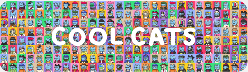 Cool Cats $43 Million market cap