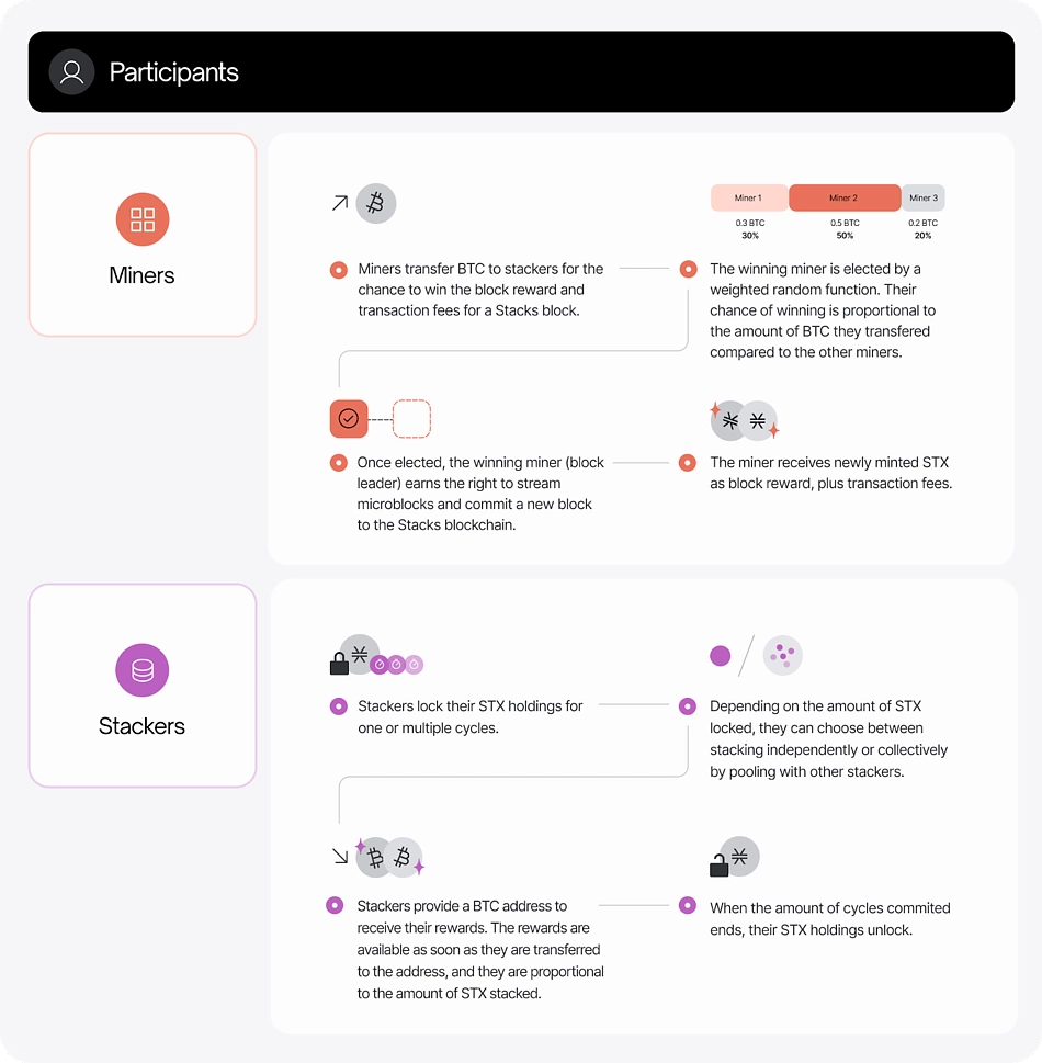 Participants in Stacks validation