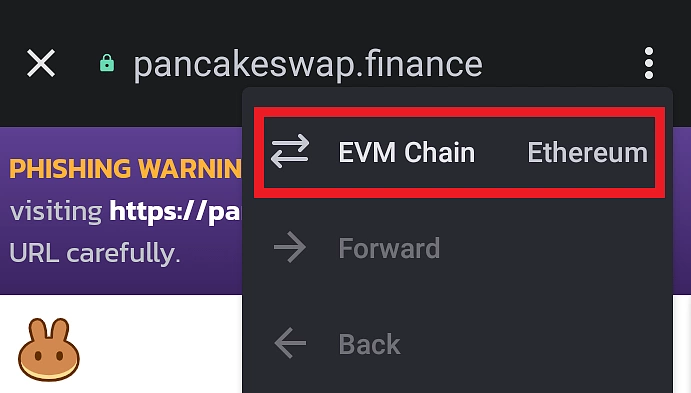 Change network on dApp on Trust Wallet Browser