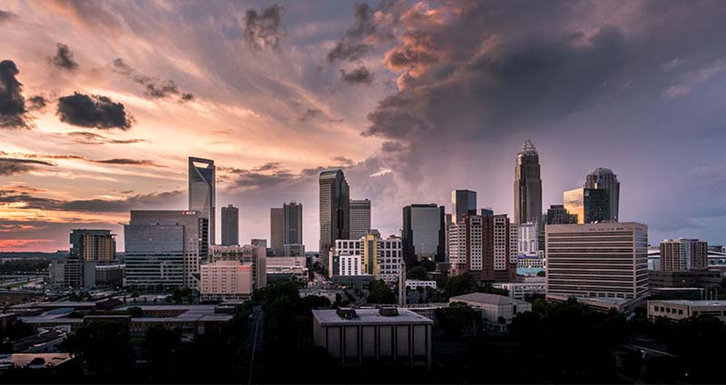 Charlotte. (C) Daniel Weiss