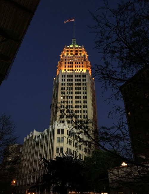 © Terri Meyer Boake