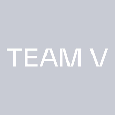 Team V Architecture