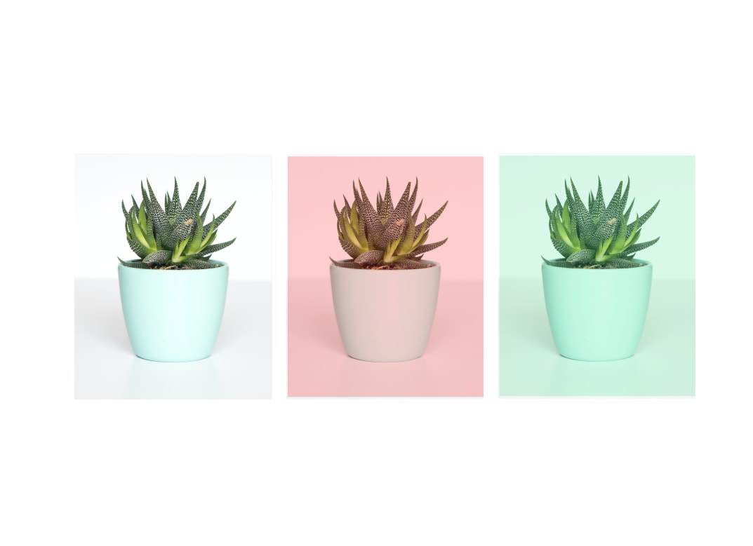 How to blend an image with colors How to blend an image with colors