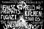 <a href='/fugazi_live_series/copenhagen-denmark-92790'>Show Flyer - </a>