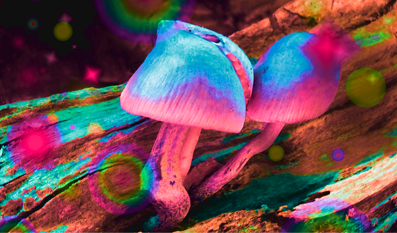 ¿La terapia asistida por psicodélicos funciona mejor con más sesiones de preparación? Un nuevo metaanálisis en JAMA Network Open sugiere que sí. (imagen: Paulo Ramos / iStock)