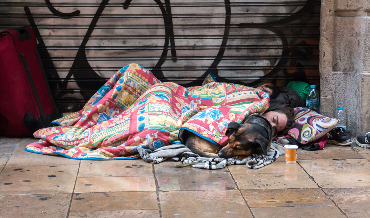 La percepción pública sobre los perros de las personas sin hogar puede influir en el apoyo a políticas públicas (imagen: Bogdan Khmelnytskyi / iStock).