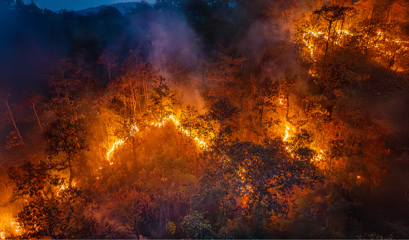 ¿Cómo manejará el sector salud el aumento de enfermedades causadas por el clima? (imagen: Toa55 / iStock)