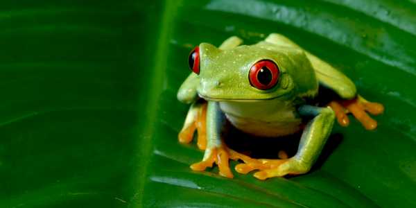 5 Great Places to Visit in Central America