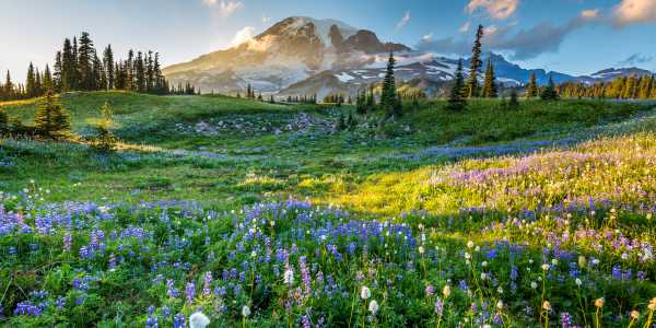 Best Places to Visit in Spring