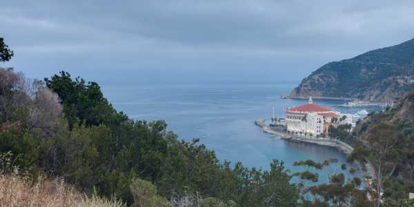 Catalina Island - The Antidote to LA